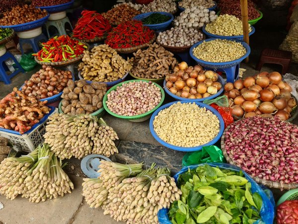 Discover the secrets: top tips for selecting ideal champagne